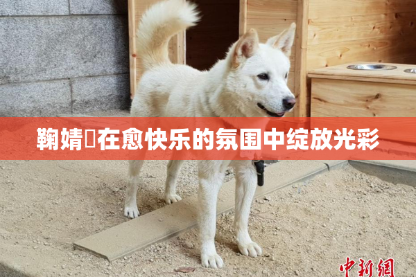 鞠婧祎在愈快乐的氛围中绽放光彩
