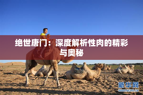 绝世唐门：深度解析性肉的精彩与奥秘