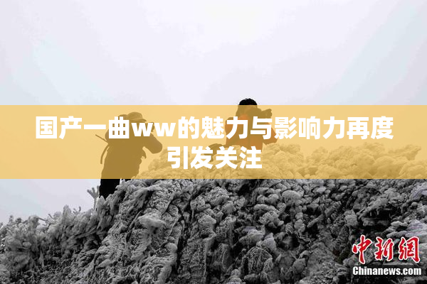 国产一曲ww的魅力与影响力再度引发关注