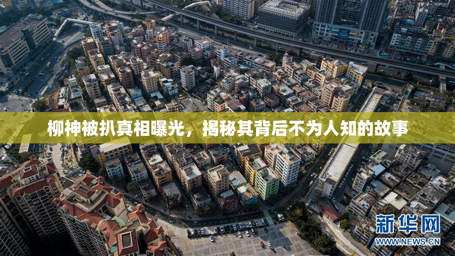 柳神被扒真相曝光，揭秘其背后不为人知的故事