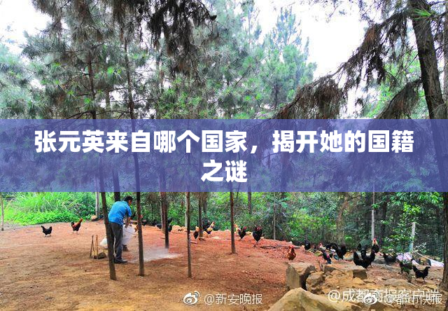 张元英来自哪个国家，揭开她的国籍之谜