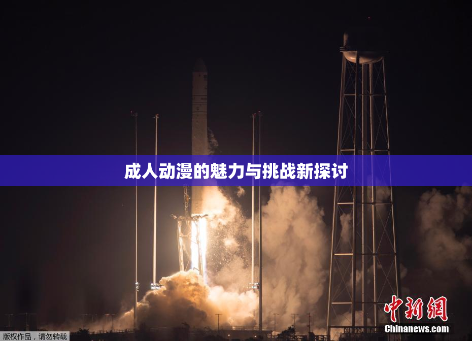 成人动漫的魅力与挑战新探讨