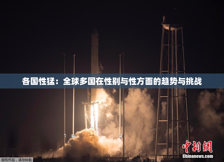 各国性猛：全球多国在性别与性方面的趋势与挑战