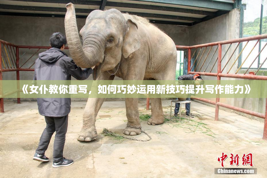 《女仆教你重写，如何巧妙运用新技巧提升写作能力》
