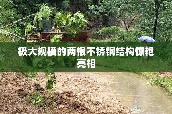 极大规模的两根不锈钢结构惊艳亮相