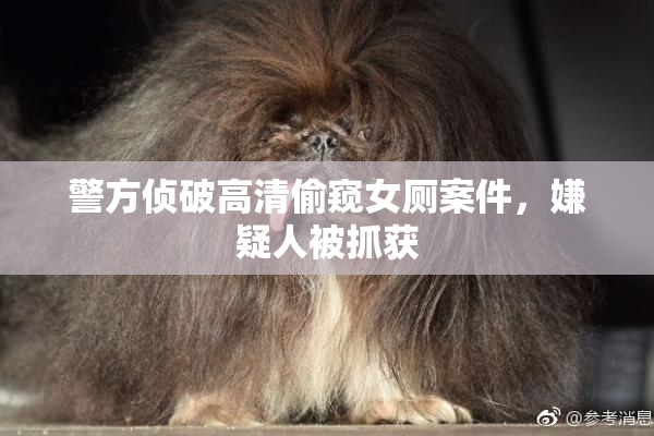 警方侦破高清偷窥女厕案件，嫌疑人被抓获