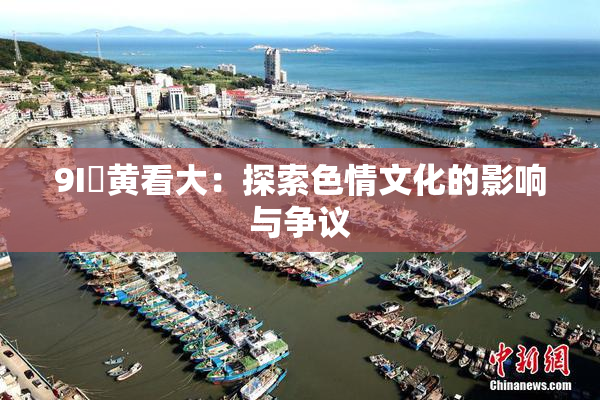 9I婬黄看大：探索色情文化的影响与争议