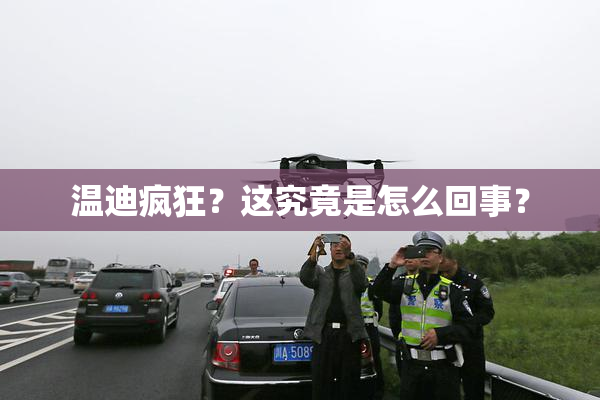 温迪疯狂？这究竟是怎么回事？