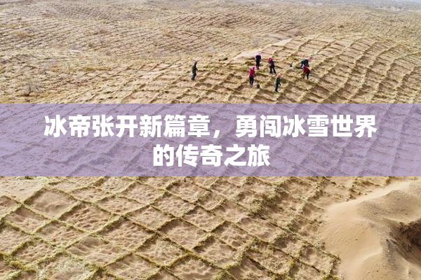 冰帝张开新篇章，勇闯冰雪世界的传奇之旅