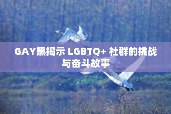 GAY黑揭示 LGBTQ+ 社群的挑战与奋斗故事