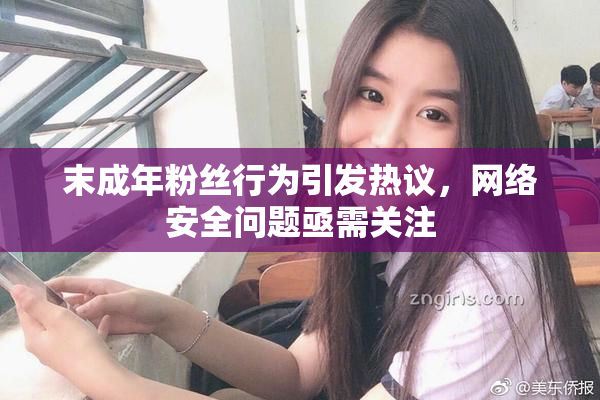 末成年粉丝行为引发热议，网络安全问题亟需关注
