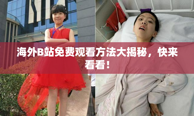 海外B站免费观看方法大揭秘，快来看看！