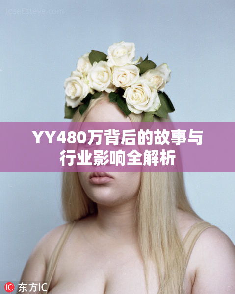 YY480万背后的故事与行业影响全解析