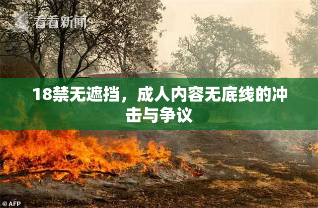 18禁无遮挡，成人内容无底线的冲击与争议