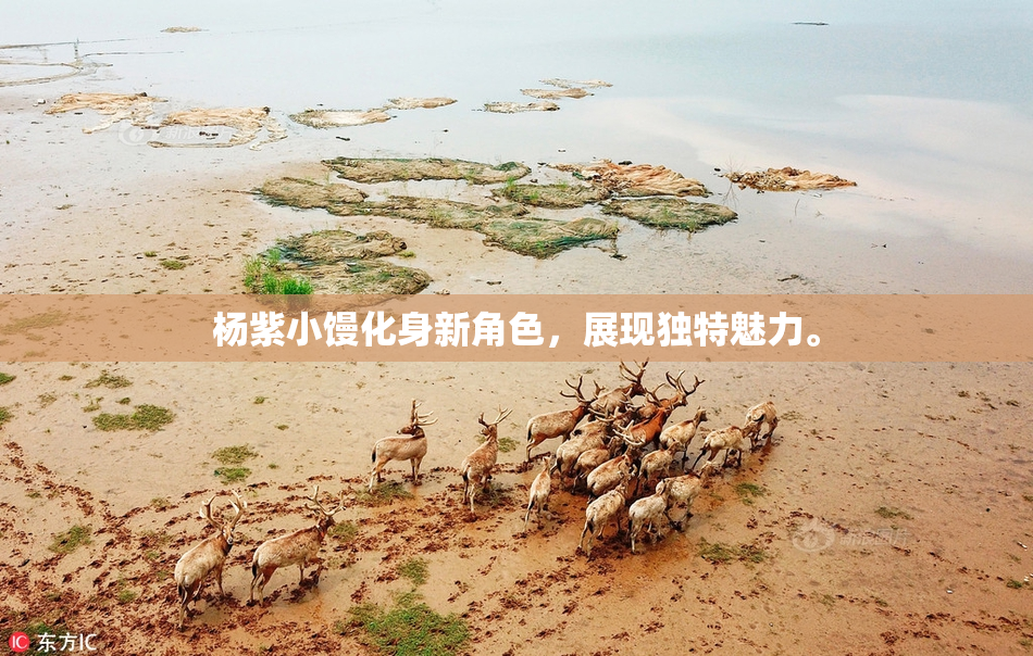 杨紫小馒化身新角色，展现独特魅力。