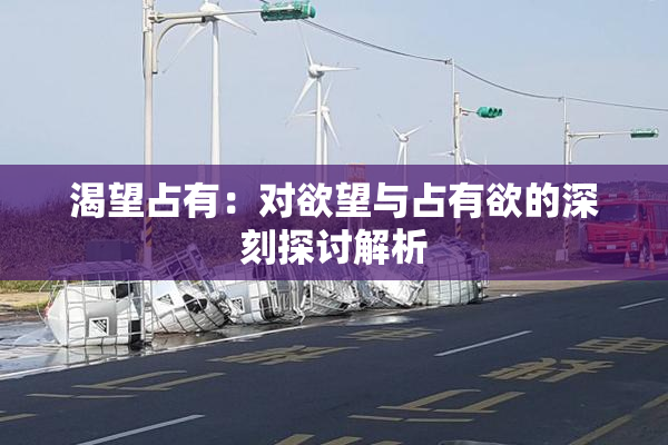 渴望占有：对欲望与占有欲的深刻探讨解析
