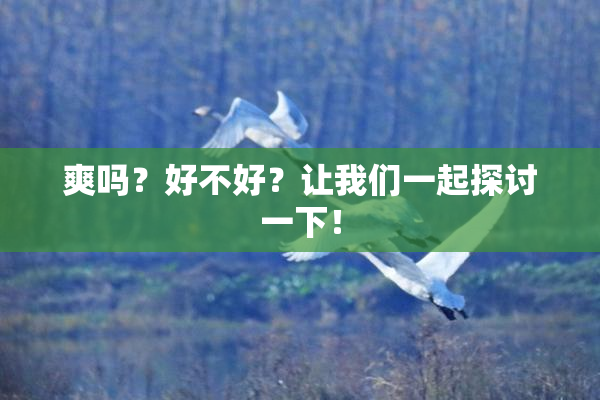 爽吗？好不好？让我们一起探讨一下！