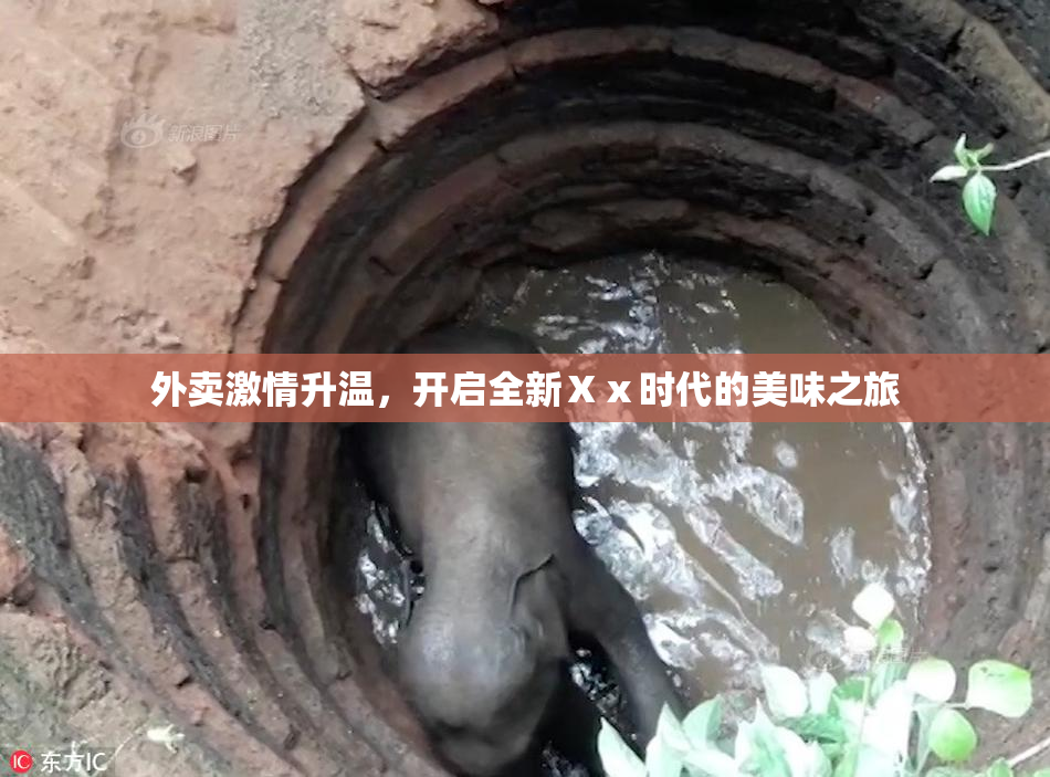 外卖激情升温，开启全新Ⅹⅹ时代的美味之旅