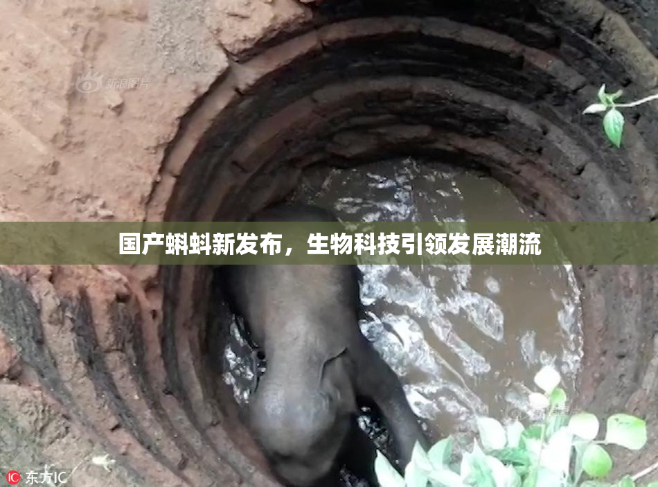 国产蝌蚪新发布，生物科技引领发展潮流