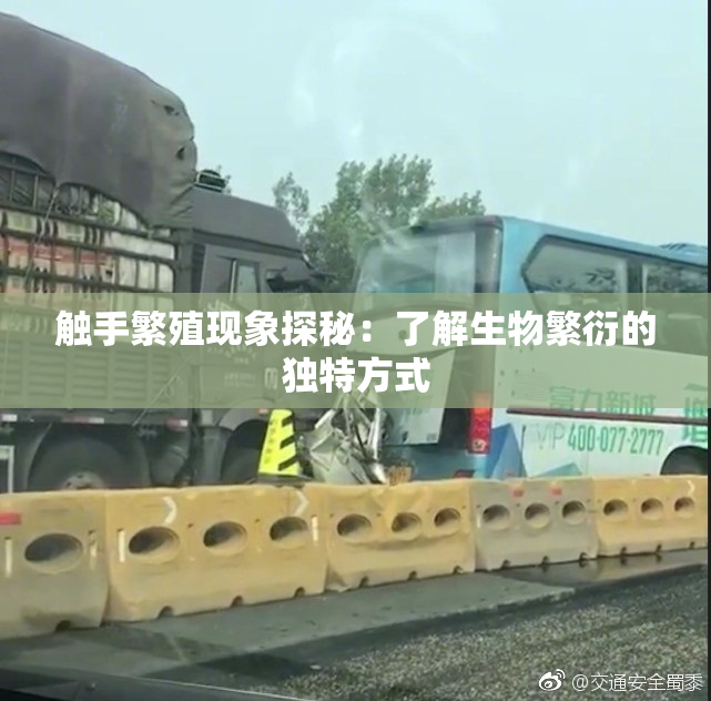 触手繁殖现象探秘：了解生物繁衍的独特方式