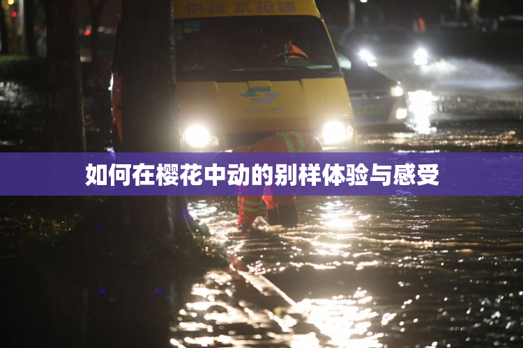 如何在樱花中动的别样体验与感受
