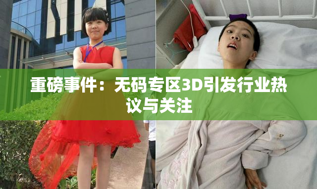 重磅事件：无码专区3D引发行业热议与关注