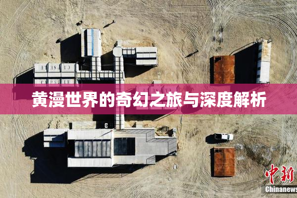 黄漫世界的奇幻之旅与深度解析