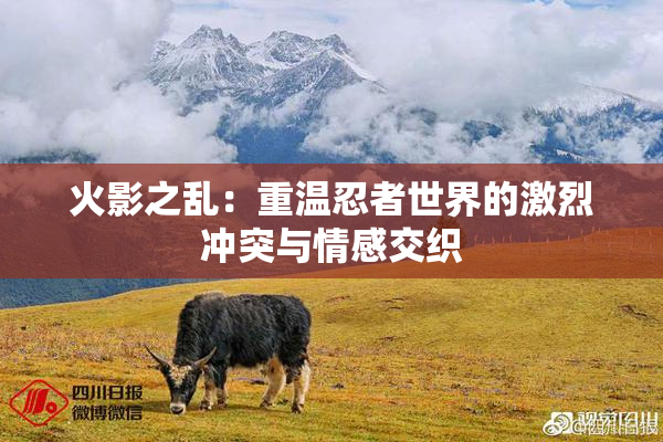 火影之乱：重温忍者世界的激烈冲突与情感交织
