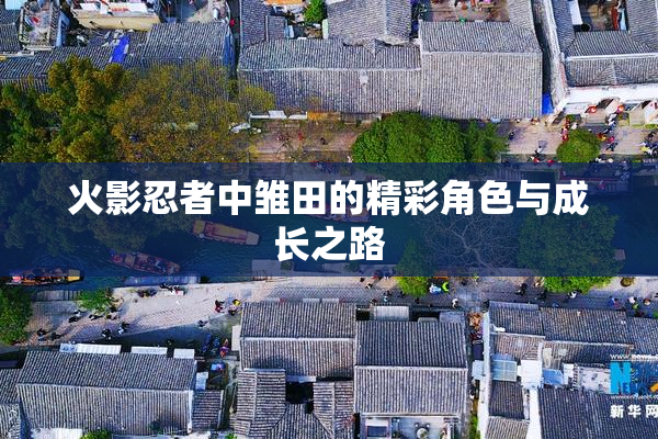 火影忍者中雏田的精彩角色与成长之路