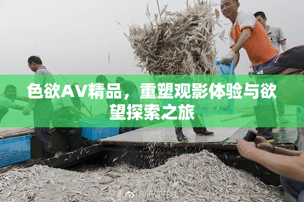 色欲AV精品，重塑观影体验与欲望探索之旅