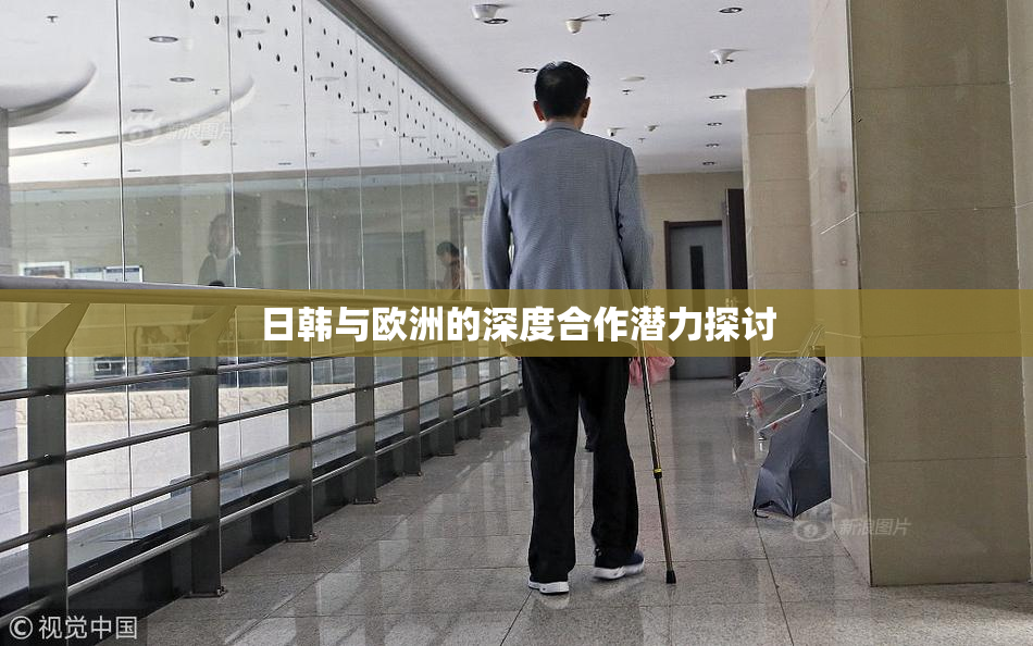 日韩与欧洲的深度合作潜力探讨