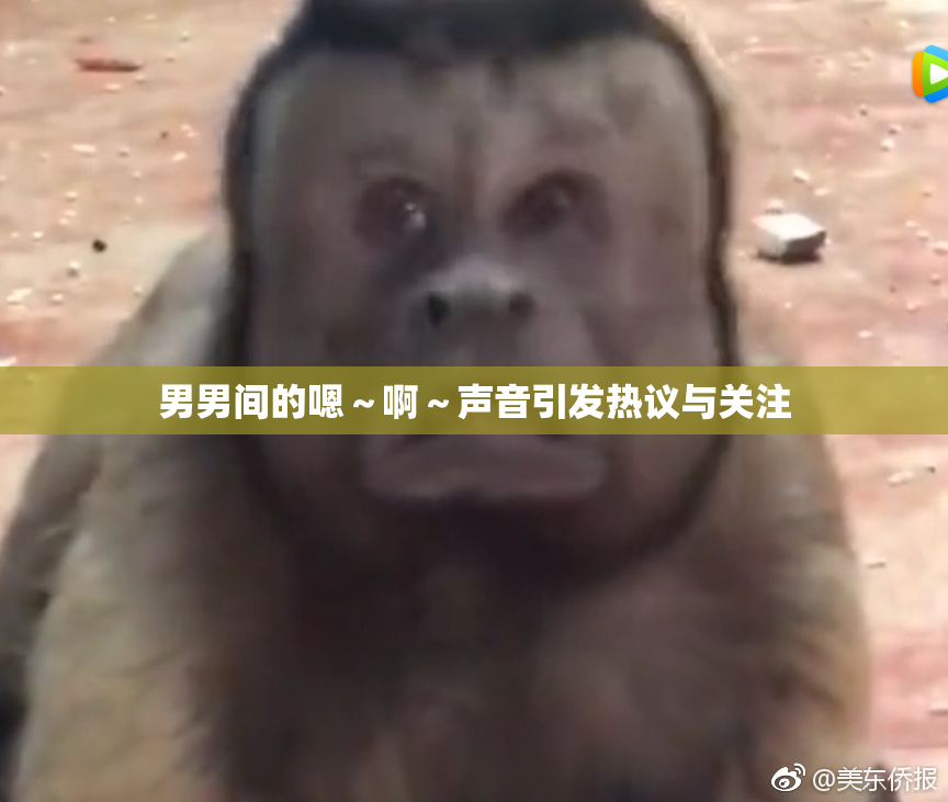男男间的嗯～啊～声音引发热议与关注