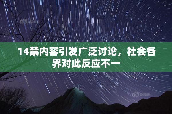 14禁内容引发广泛讨论，社会各界对此反应不一