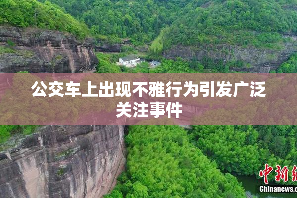 公交车上出现不雅行为引发广泛关注事件