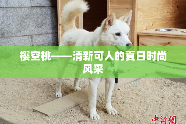 樱空桃——清新可人的夏日时尚风采