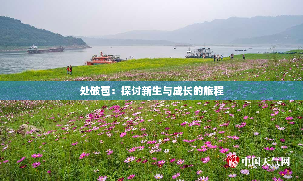 处破苞：探讨新生与成长的旅程