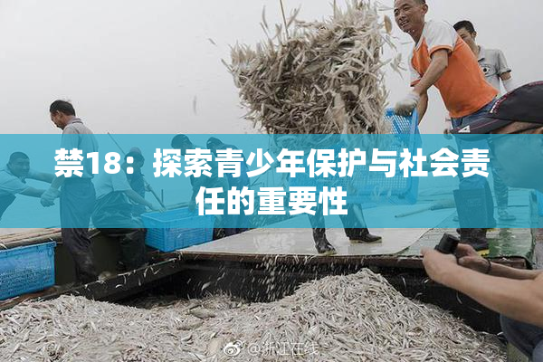 禁18：探索青少年保护与社会责任的重要性