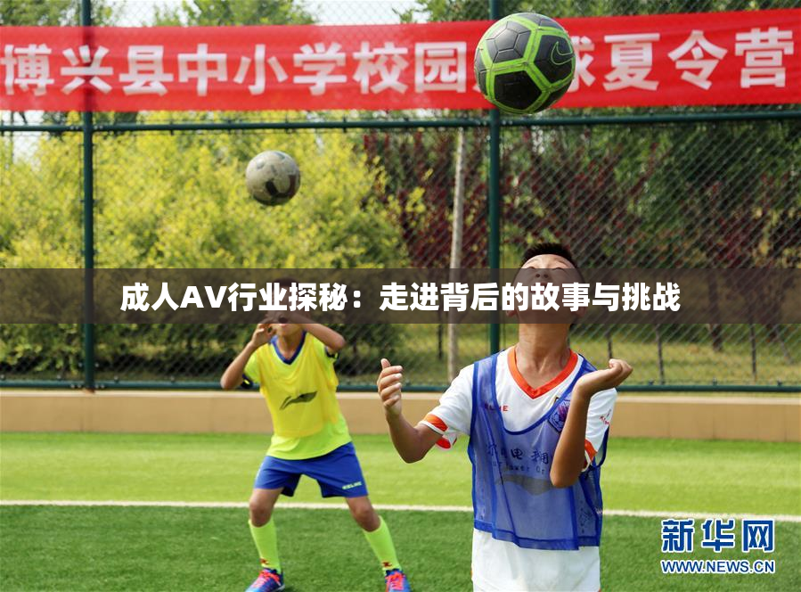 成人AV行业探秘：走进背后的故事与挑战