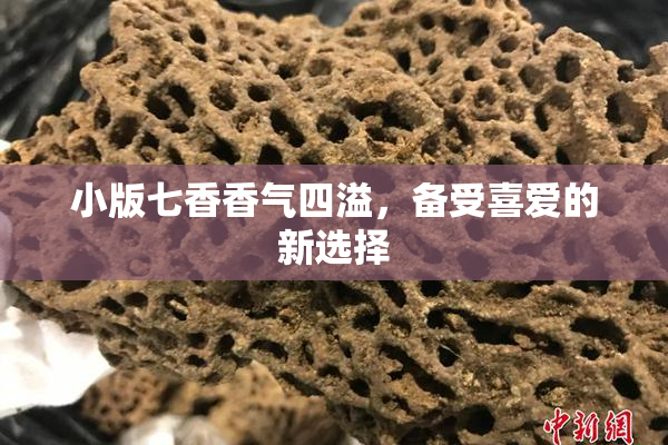 小版七香香气四溢，备受喜爱的新选择