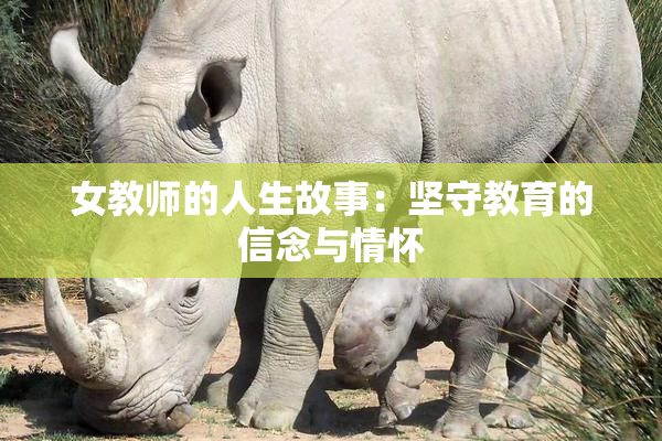 女教师的人生故事：坚守教育的信念与情怀
