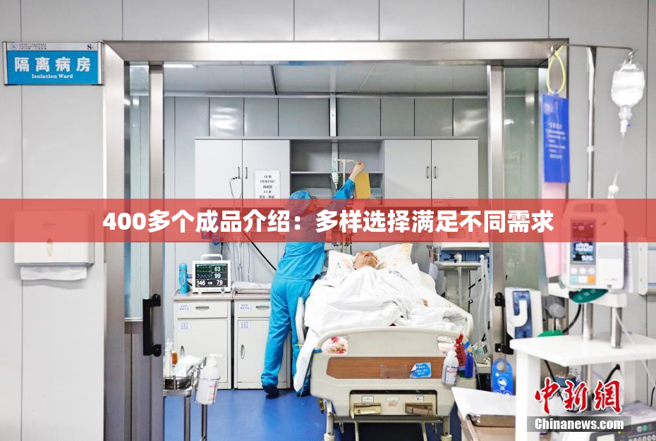 400多个成品介绍：多样选择满足不同需求