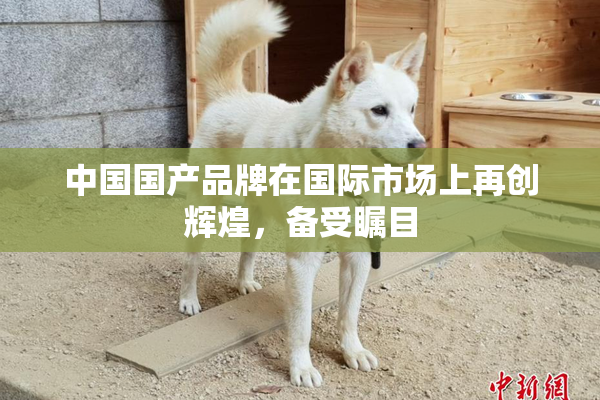 中国国产品牌在国际市场上再创辉煌，备受瞩目