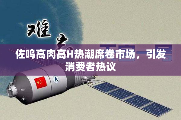 佐鸣高肉高H热潮席卷市场，引发消费者热议