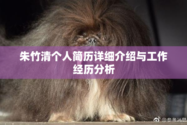 朱竹清个人简历详细介绍与工作经历分析