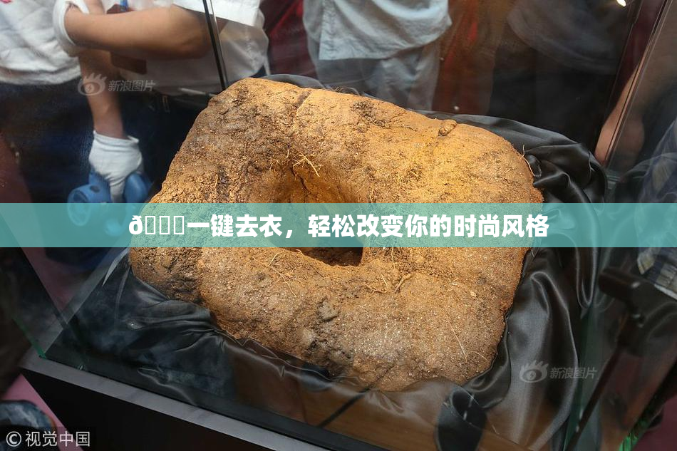 🔞一键去衣，轻松改变你的时尚风格