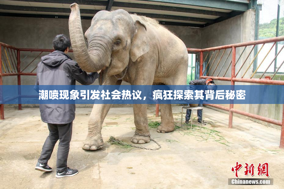潮喷现象引发社会热议，疯狂探索其背后秘密