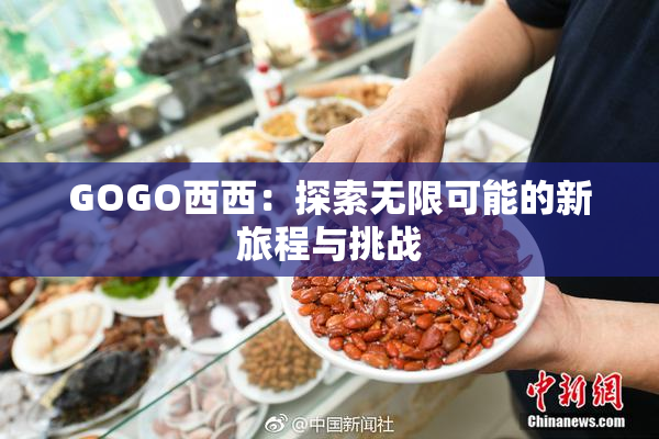GOGO西西：探索无限可能的新旅程与挑战