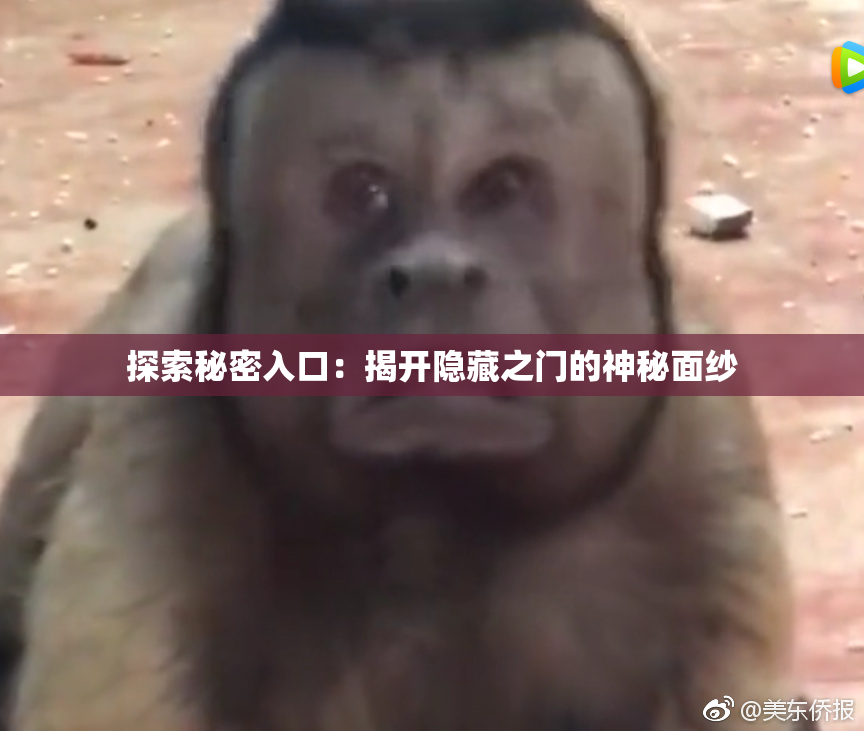探索秘密入口：揭开隐藏之门的神秘面纱