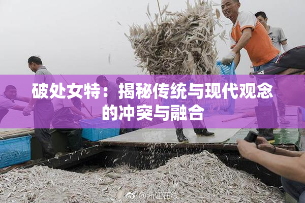 破处女特：揭秘传统与现代观念的冲突与融合
