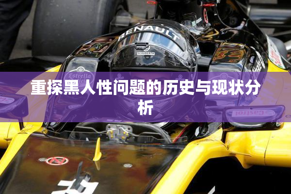 重探黑人性问题的历史与现状分析